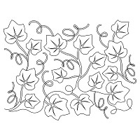 pumpkin patch vines e2e 001